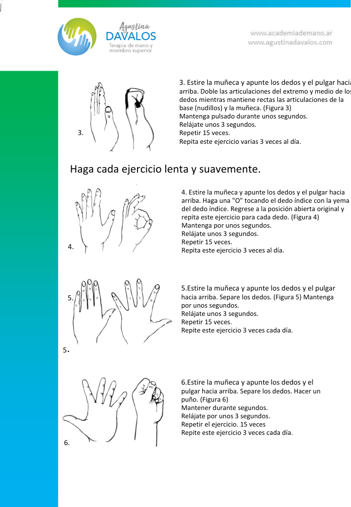Protocolo de Mano